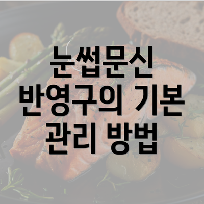 눈썹문신 반영구의 기본 관리 방법