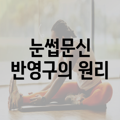 눈썹문신 반영구의 원리