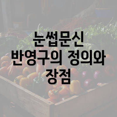 눈썹문신 반영구의 정의와 장점