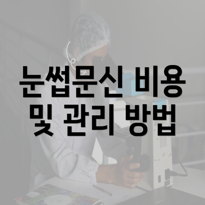 눈썹문신 비용 및 관리 방법