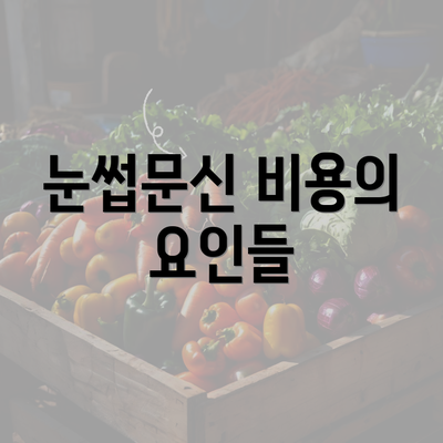 눈썹문신 비용의 요인들