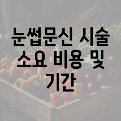 눈썹문신 시술 소요 비용 및 기간