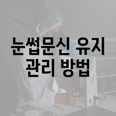 눈썹문신 유지 관리 방법