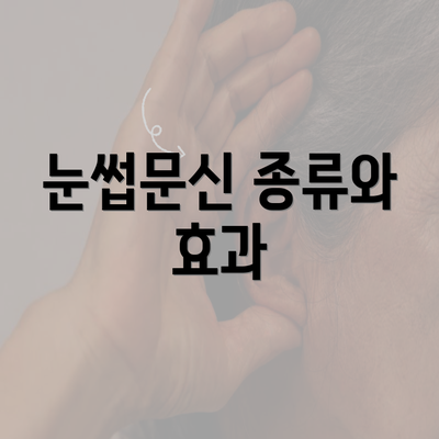 눈썹문신 종류와 효과