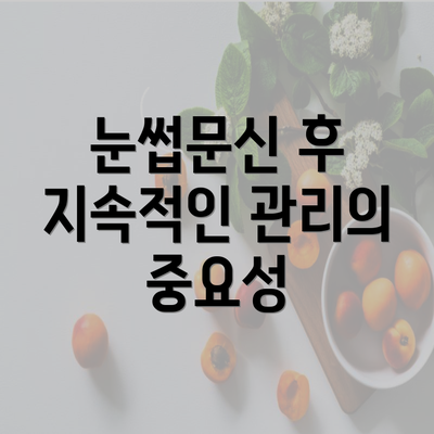 눈썹문신 후 지속적인 관리의 중요성