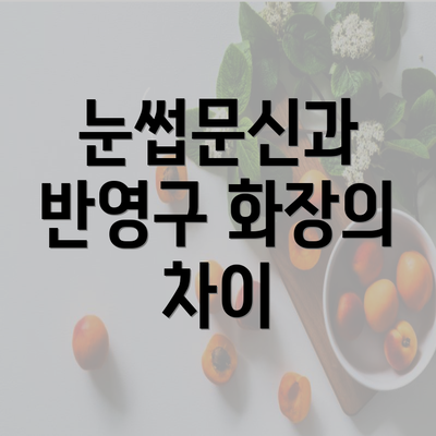 눈썹문신과 반영구 화장의 차이