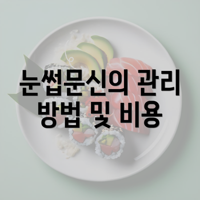 눈썹문신의 관리 방법 및 비용