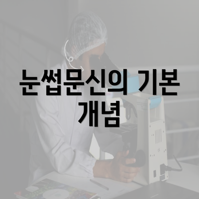 눈썹문신의 기본 개념