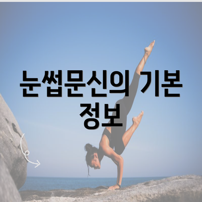 눈썹문신의 기본 정보