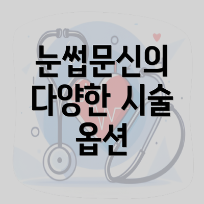 눈썹문신의 다양한 시술 옵션