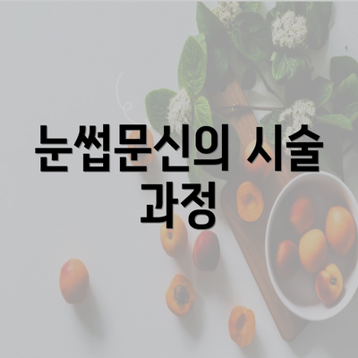 눈썹문신의 시술 과정