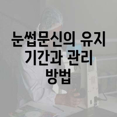 눈썹문신의 유지 기간과 관리 방법