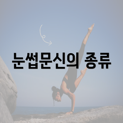 눈썹문신의 종류