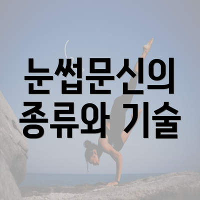 눈썹문신의 종류와 기술