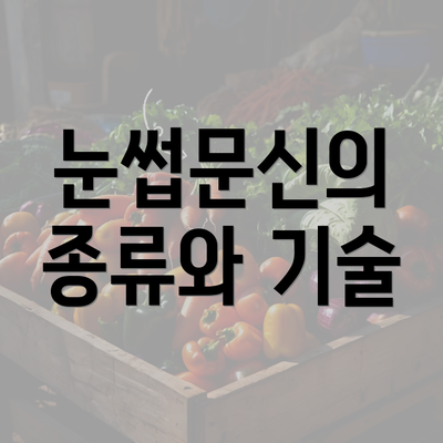 눈썹문신의 종류와 기술