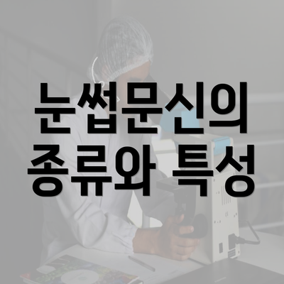 눈썹문신의 종류와 특성