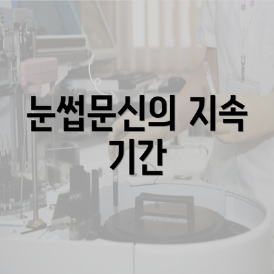 눈썹문신의 지속 기간