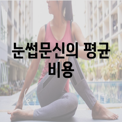 눈썹문신의 평균 비용