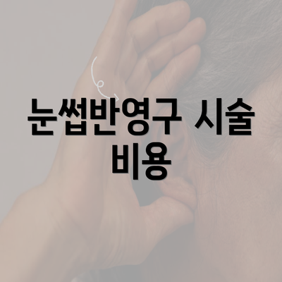 눈썹반영구 시술 비용