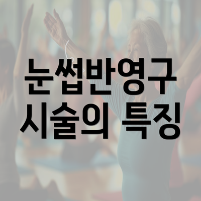 눈썹반영구 시술의 특징