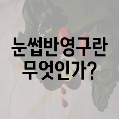 눈썹반영구란 무엇인가?