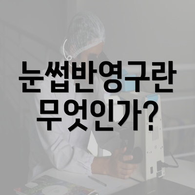 눈썹반영구란 무엇인가?