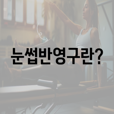 눈썹반영구란?