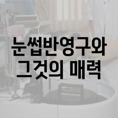 눈썹반영구와 그것의 매력