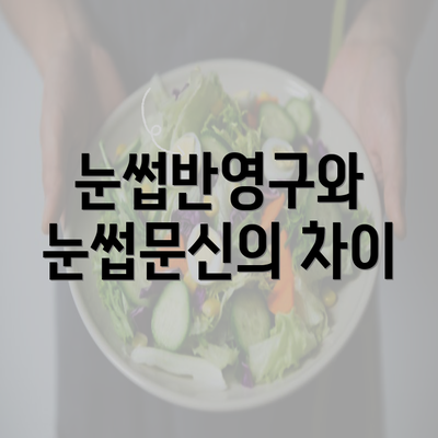 눈썹반영구와 눈썹문신의 차이