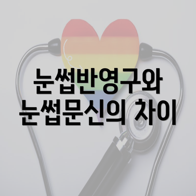 눈썹반영구와 눈썹문신의 차이