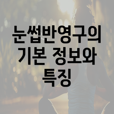 눈썹반영구의 기본 정보와 특징