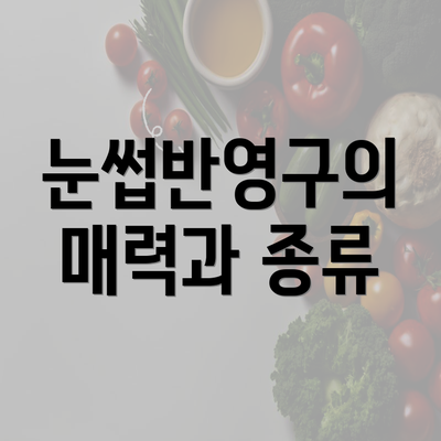 눈썹반영구의 매력과 종류