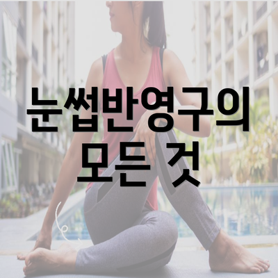 눈썹반영구의 모든 것