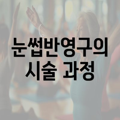 눈썹반영구의 시술 과정