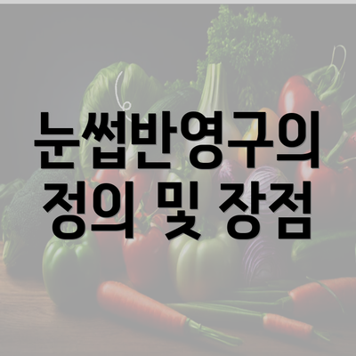 눈썹반영구의 정의 및 장점