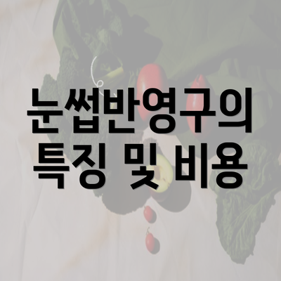 눈썹반영구의 특징 및 비용