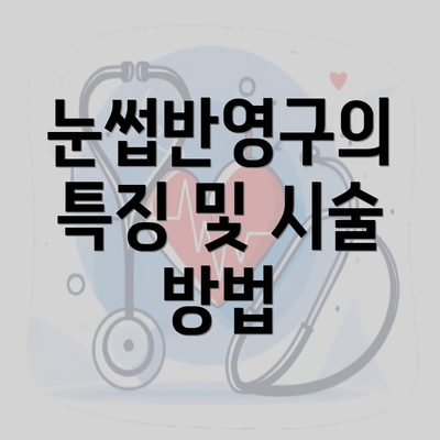 눈썹반영구의 특징 및 시술 방법