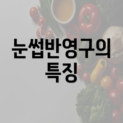 눈썹반영구의 특징