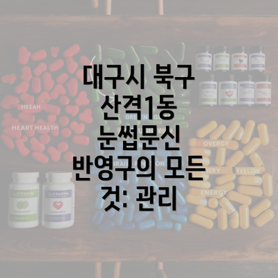 대구시 북구 산격1동 눈썹문신 반영구의 모든 것: 관리