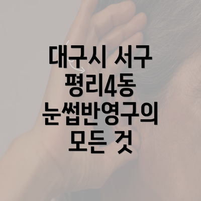 대구시 서구 평리4동 눈썹반영구의 모든 것