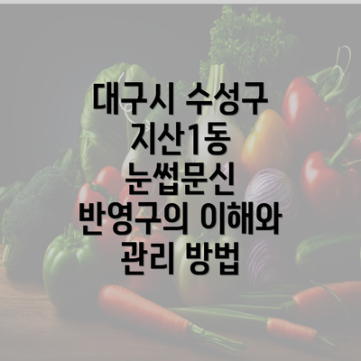 대구시 수성구 지산1동 눈썹문신 반영구의 이해와 관리 방법