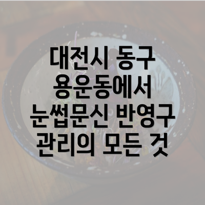 대전시 동구 용운동에서 눈썹문신 반영구 관리의 모든 것