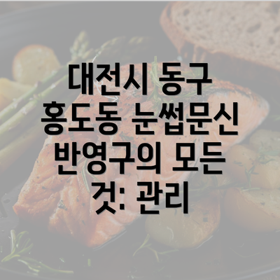 대전시 동구 홍도동 눈썹문신 반영구의 모든 것: 관리