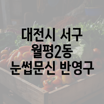 대전시 서구 월평2동 눈썹문신 반영구