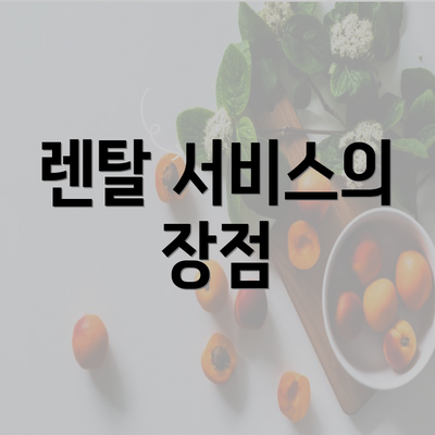 렌탈 서비스의 장점