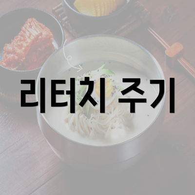 리터치 주기