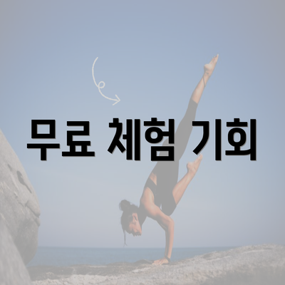 무료 체험 기회