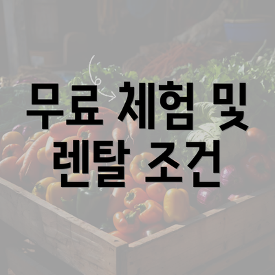 무료 체험 및 렌탈 조건