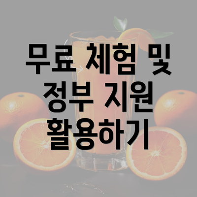 무료 체험 및 정부 지원 활용하기