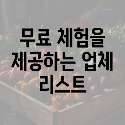 무료 체험을 제공하는 업체 리스트